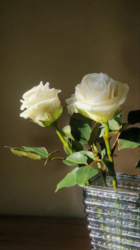 Работа ученицы