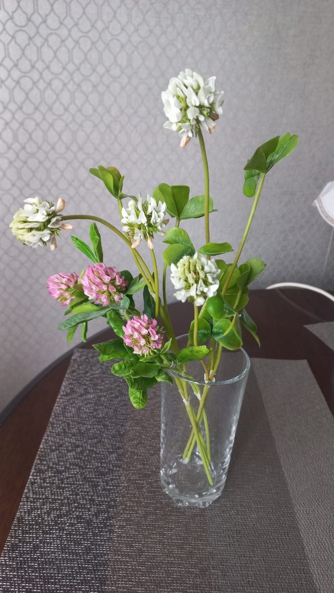 Работа ученицы